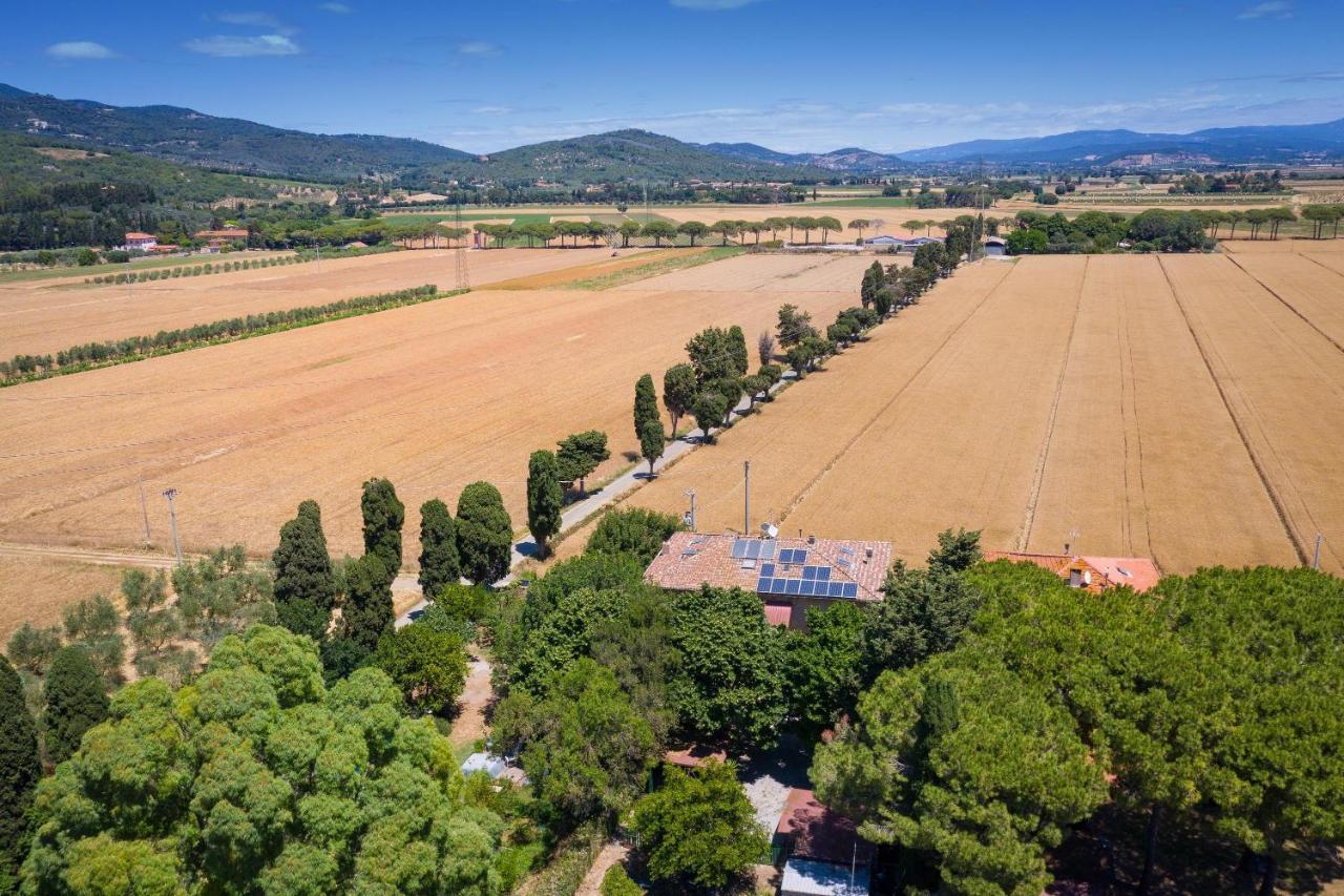 Апартаменти Casa Max - Venturina Terme Кампілья-Мариттіма Екстер'єр фото